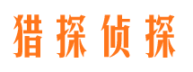 阜城侦探调查公司